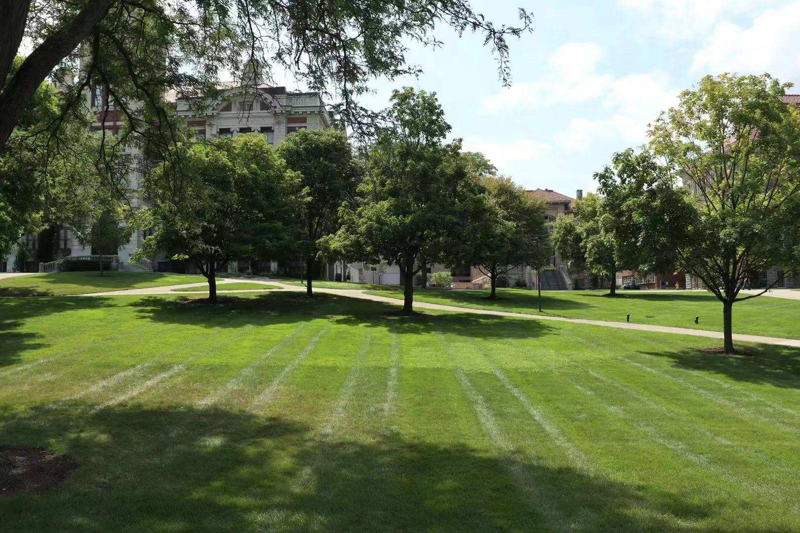 美国密歇根州立大学排名世界排名